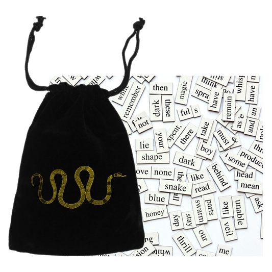 **PRE ORDER** LAURA STEVENSON LATE GREAT MAGNETIC POETRY SET