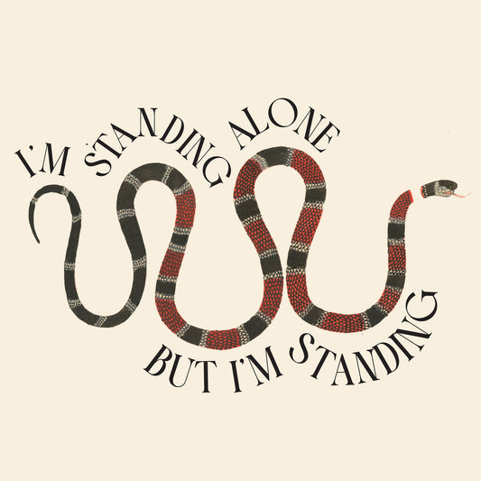 **PRE ORDER**  LAURA STEVENSON SNAKE POCKET PRINT TEE