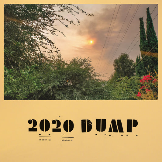 JEFF ROSENSTOCK - 2020 DUMP LP