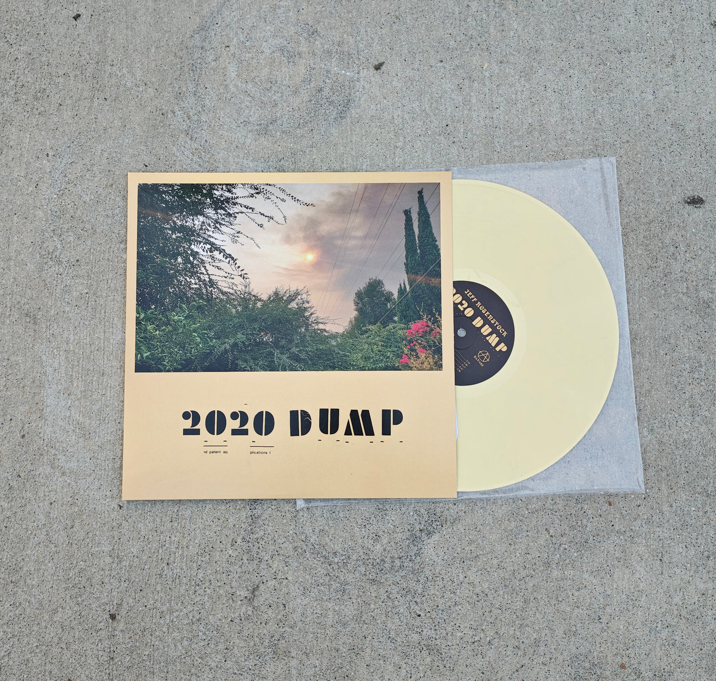 JEFF ROSENSTOCK - 2020 DUMP LP